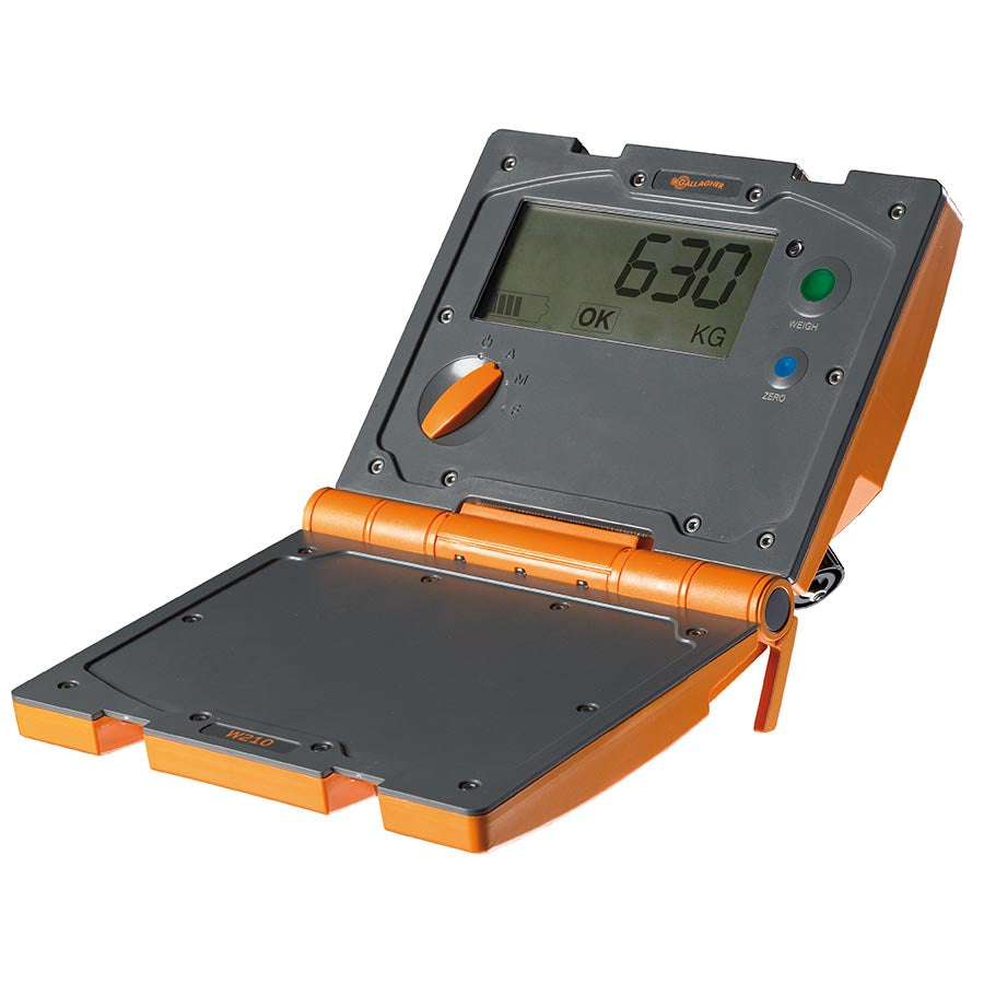 Smartscale W210