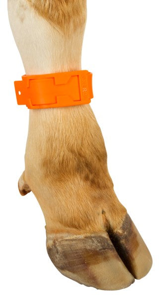 Ankelband, Plastikk, 37 cm lang, Orange,...