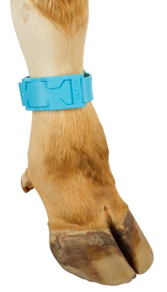 Ankelband, Plastikk, 37 cm lang, Blå